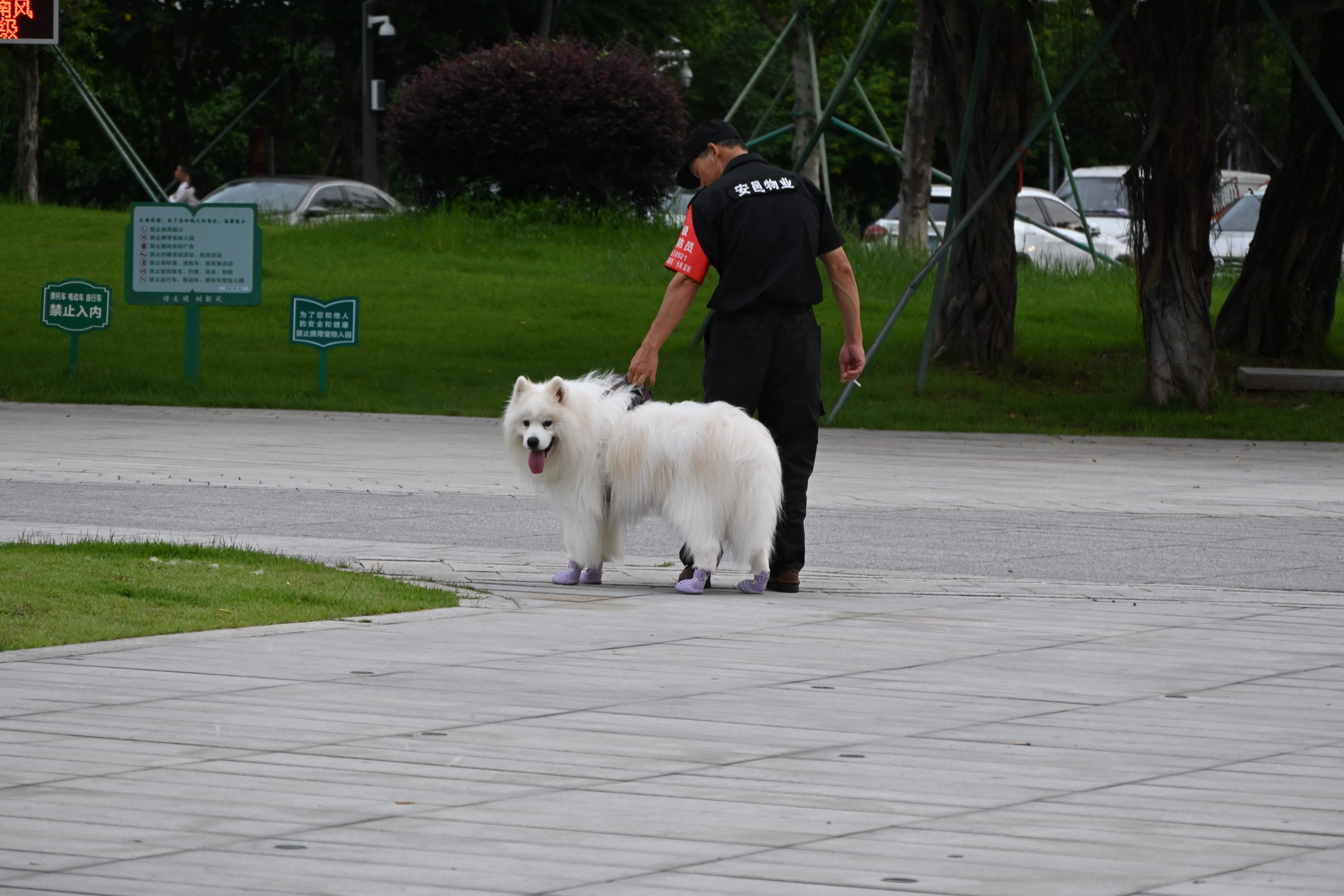 DSC_0120.JPG